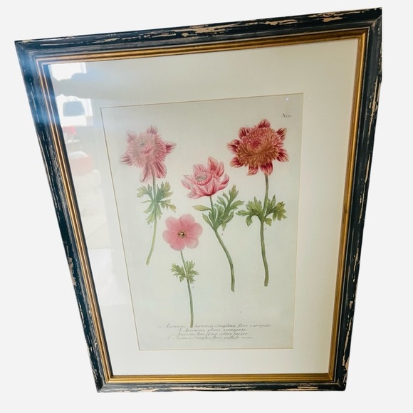 Unbranded Vintage Other - Vintage Botanical Anemone Floral Print Framed |Antique Style Flower Illustration